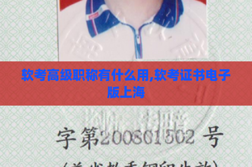 软考高级职称有什么用,软考证书电子版上海
